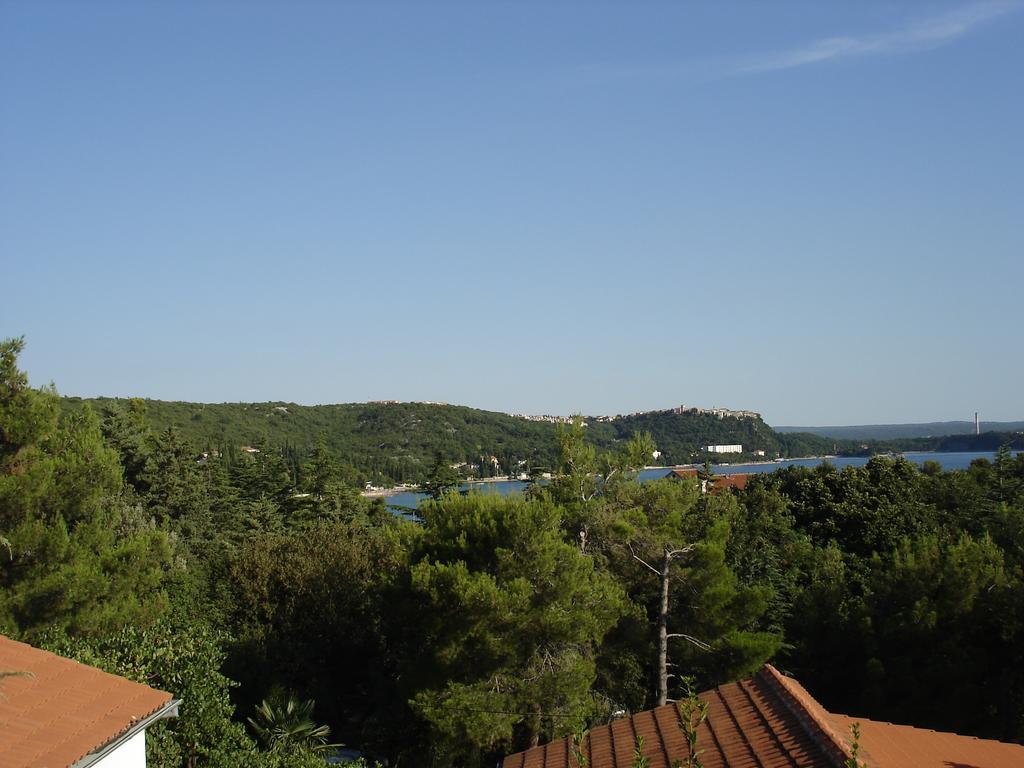 Apartman Kondic 奥米沙利 客房 照片